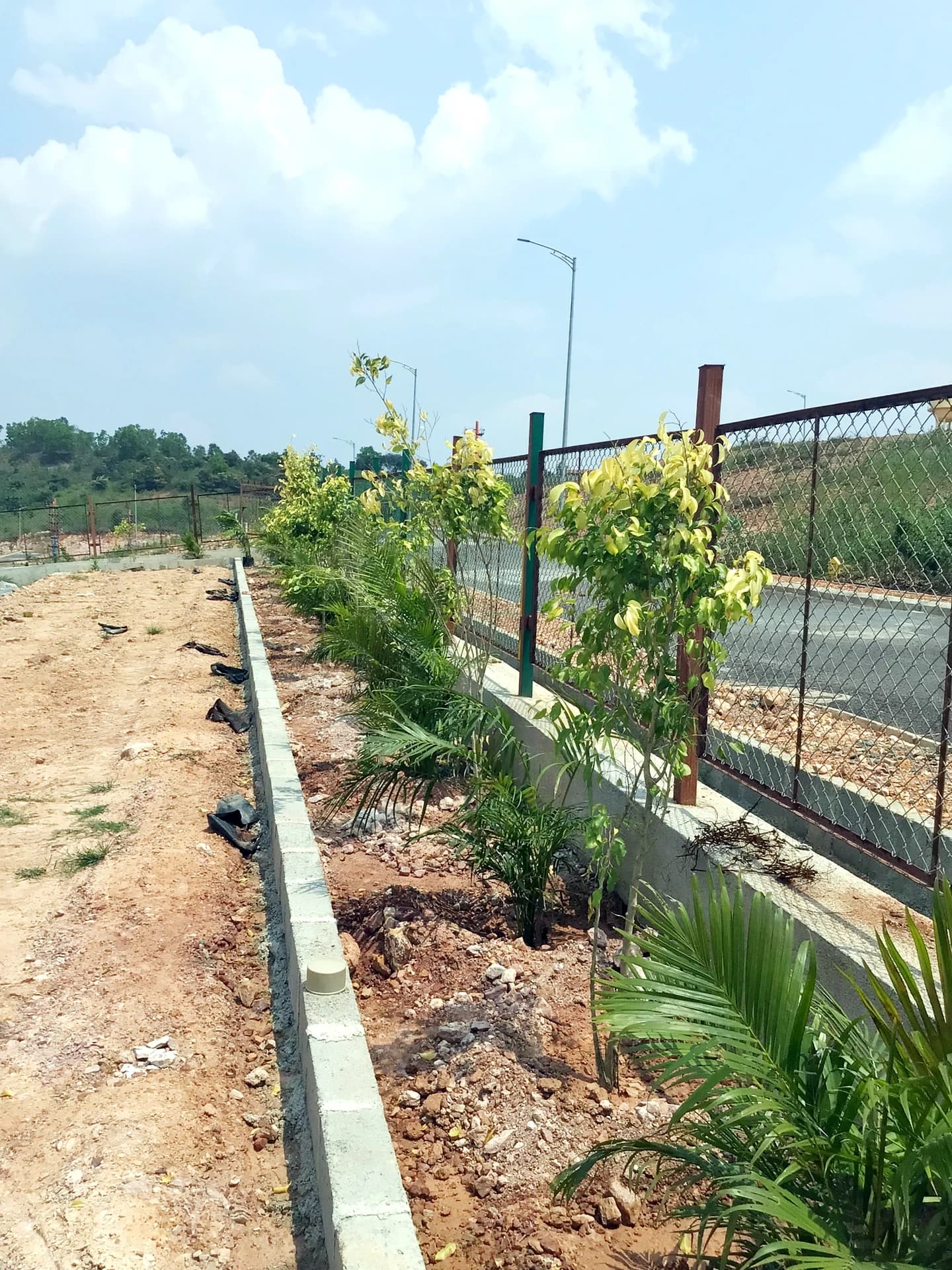 Boundary Landscaping & Plantation Along Roadway