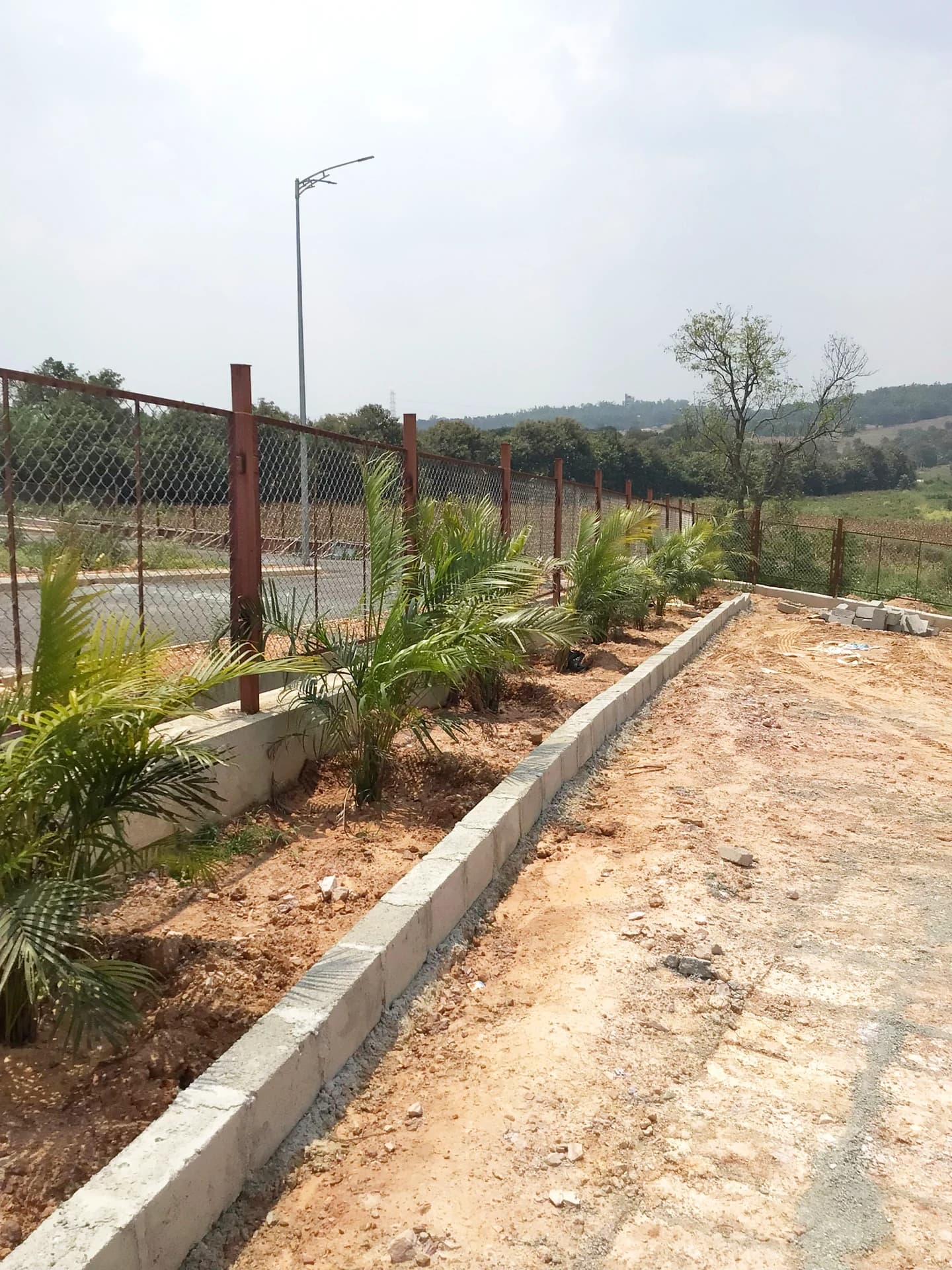 Perimeter Security Fence & Royal Palm Plantations