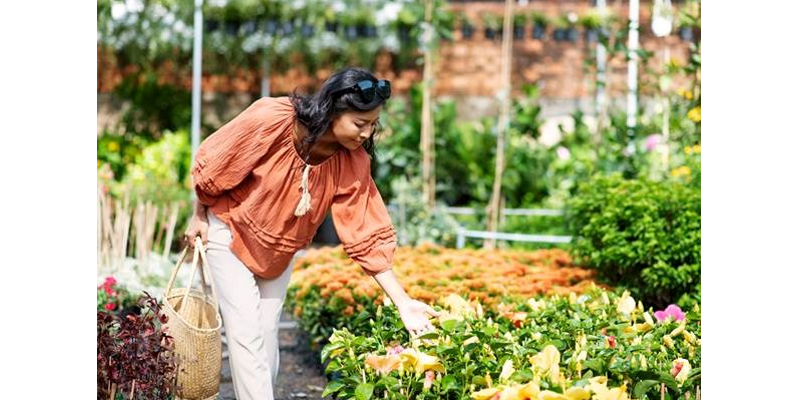 Residents enjoying sustainable lifestyle at Eco Village Dharwad with solar and garden spaces.